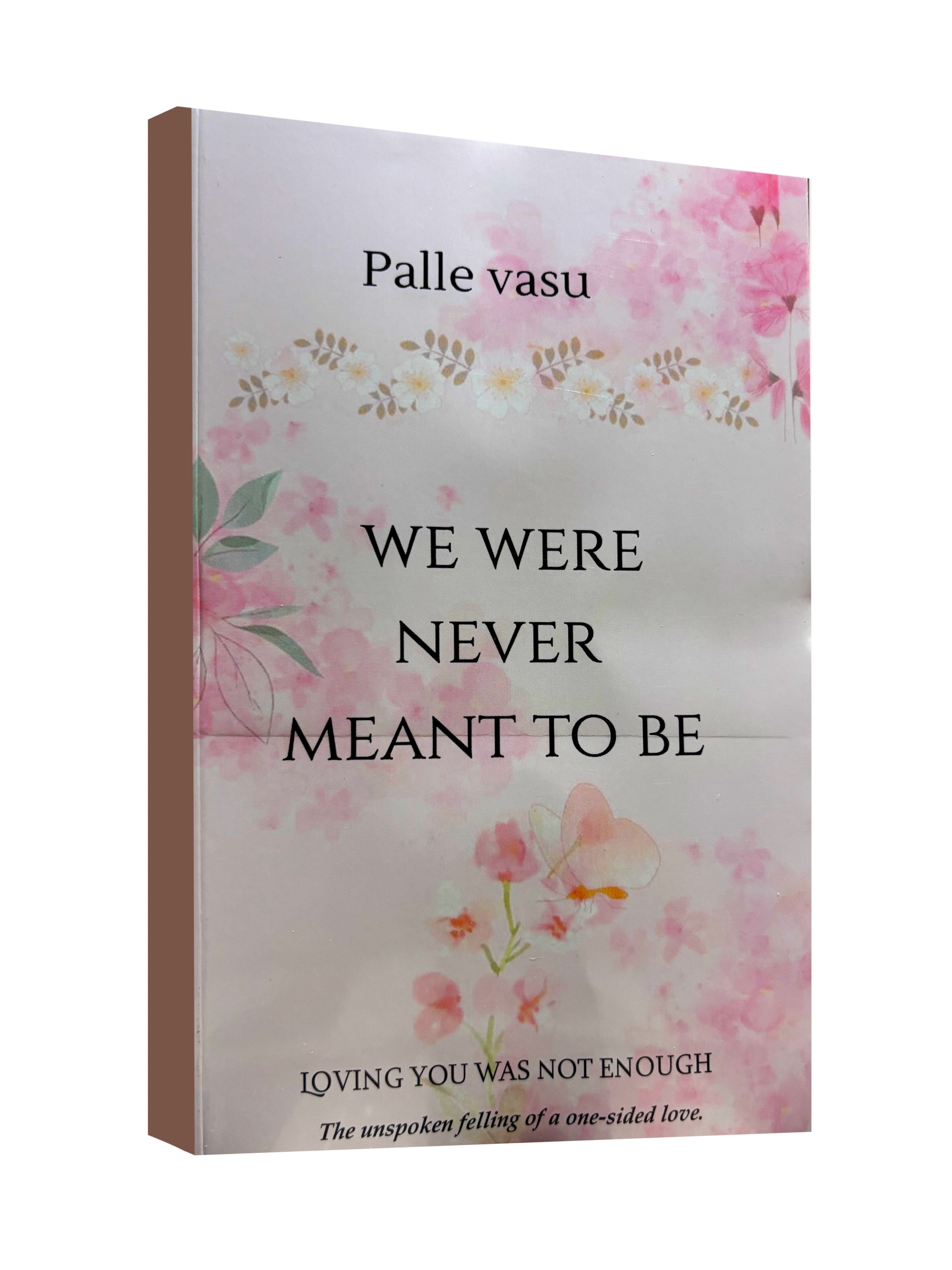 We Were Never Meant to Be - by Palle Vasu